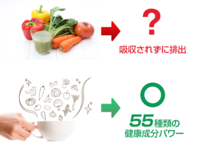 命の野菜スープの栄養吸収