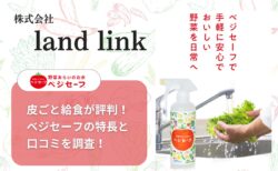 株式会社land linkの皮ごと給食が評判!ベジセーフの特長と口コミ調査!