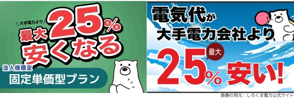 しろくま電力の個人・法人向けの電力小売事業