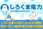 しろくま電力(ぱわー)の口コミ評判!本当に安い?電気料金の仕組みを調査!