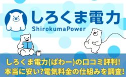 しろくま電力(ぱわー)の口コミ評判!本当に安い?電気料金の仕組みを調査!