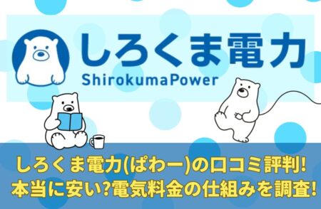 しろくま電力(ぱわー)の口コミ評判!本当に安い?電気料金の仕組みを調査!