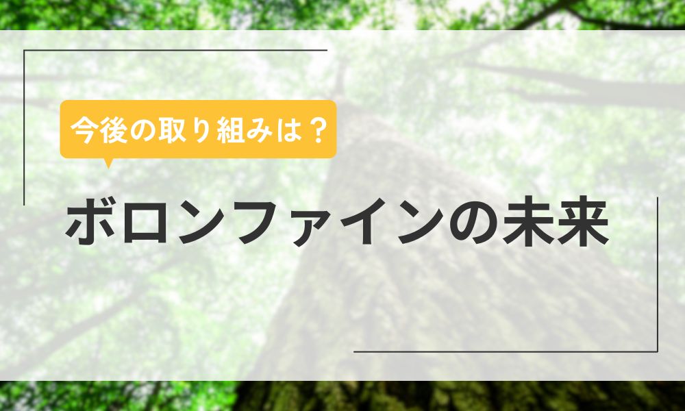ボロンファインの未来