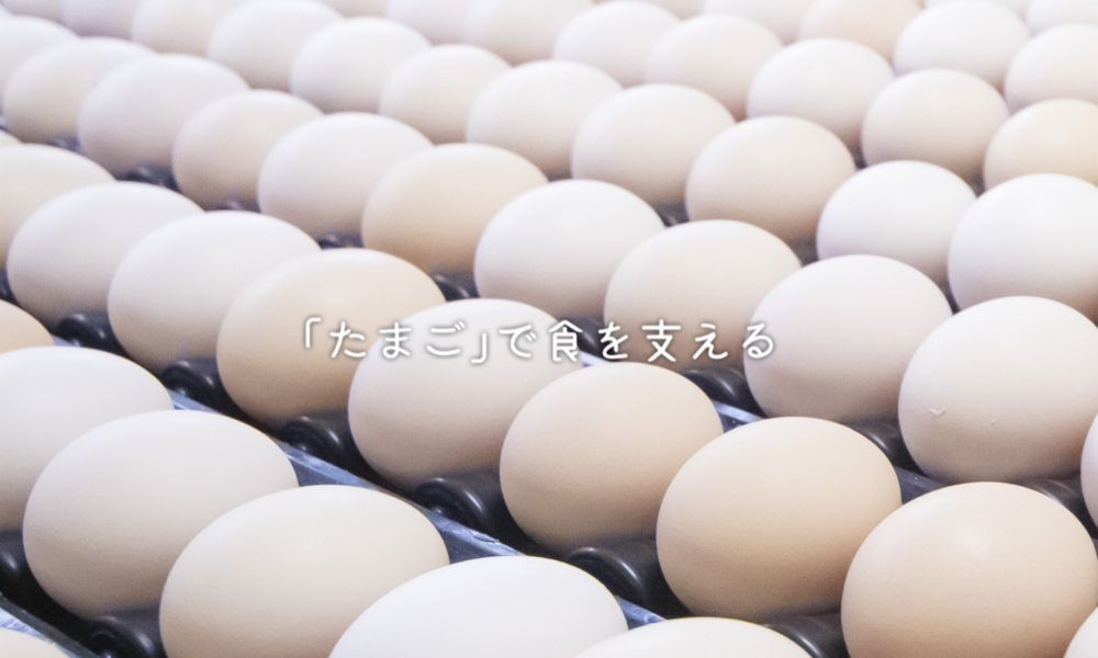 坂本産業とは