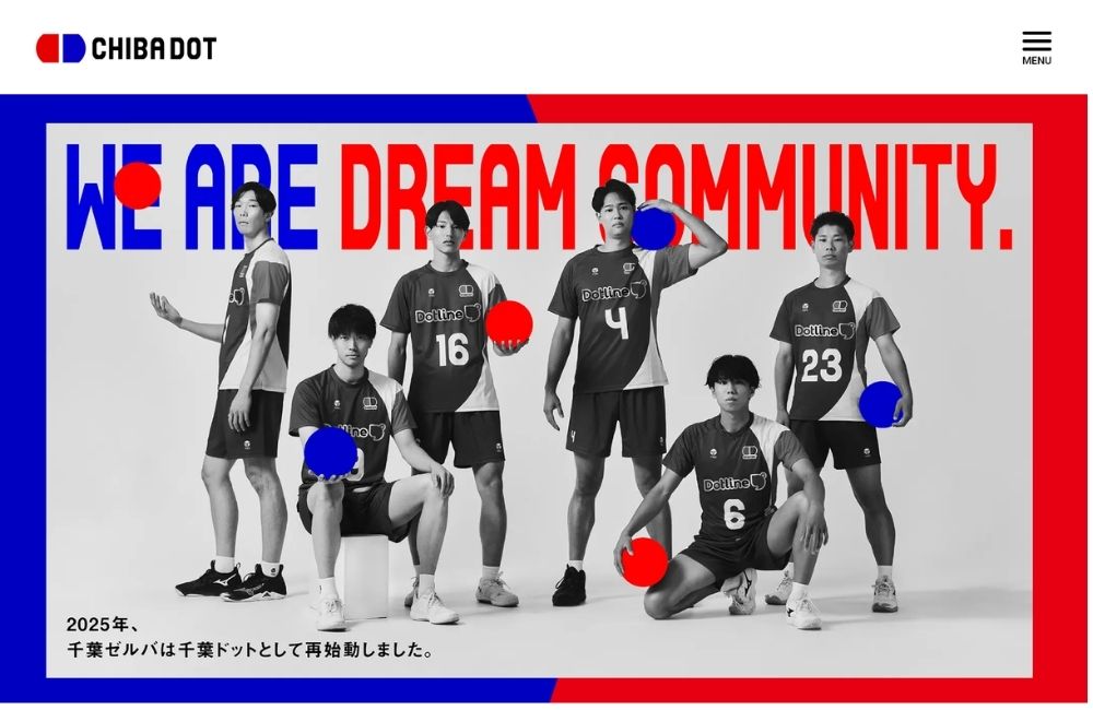 プロバレーボールチーム「千葉ドット」