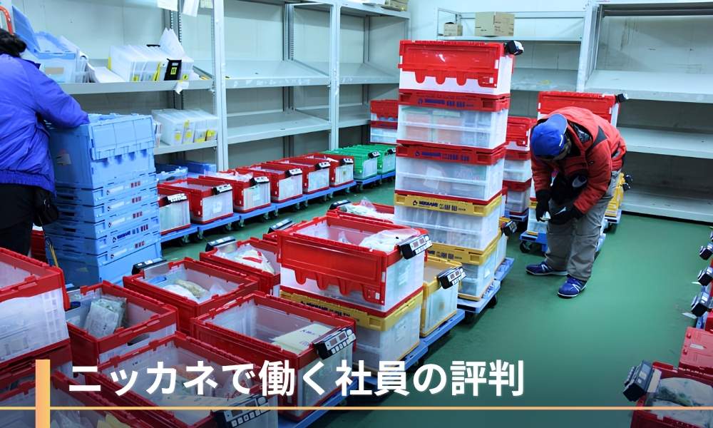 ニッカネで働く社員の評判